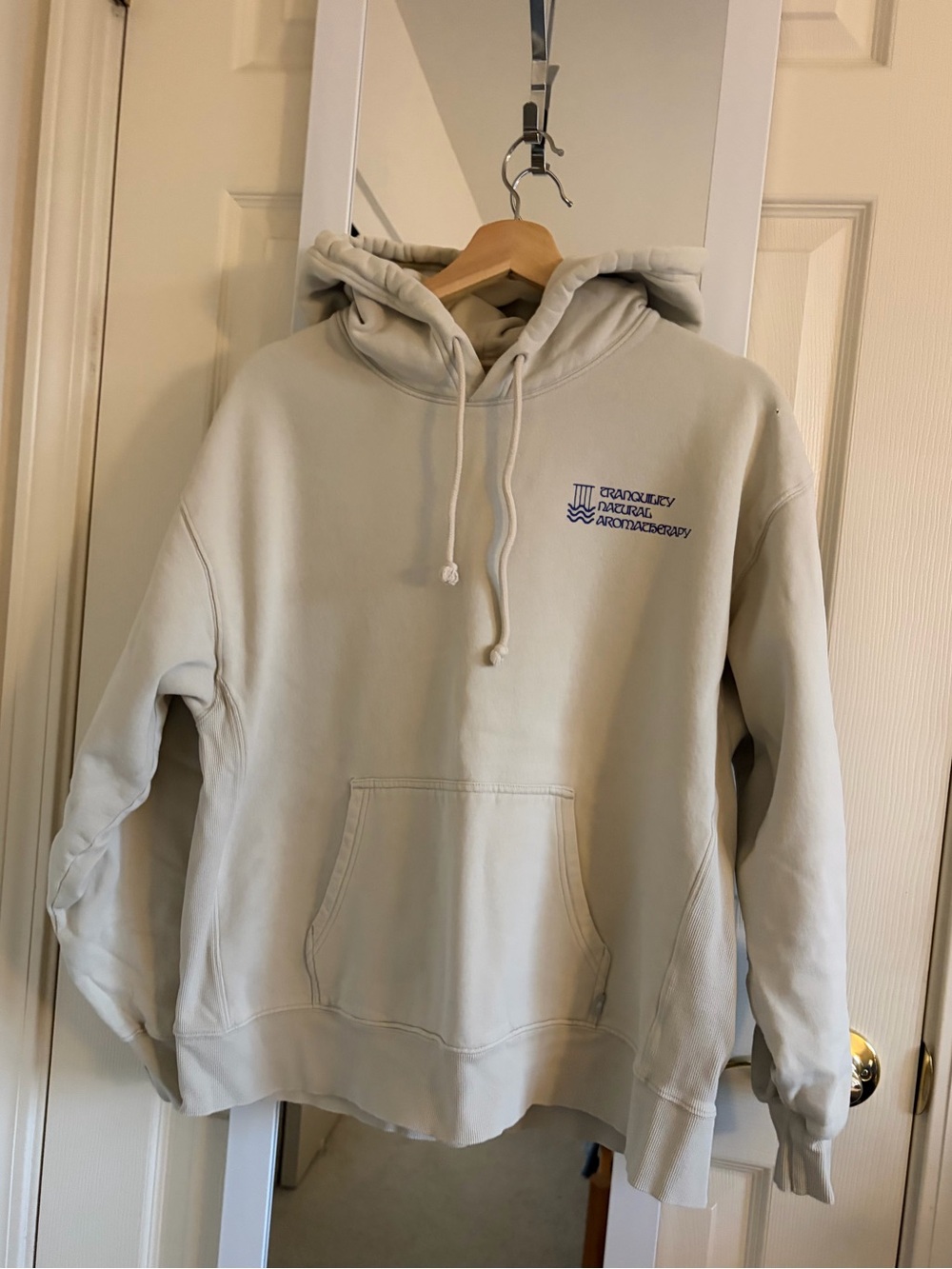 Aritzia Boyfriend Hoodie Navy Blue 2